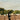 Lorem ipsum dolor sit amet consectetur